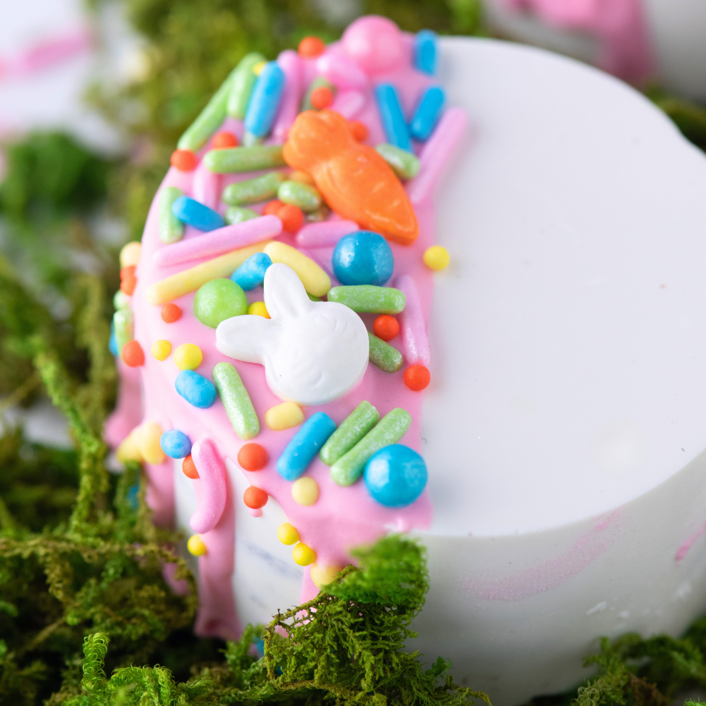 Funny Bunny Sprinklefetti